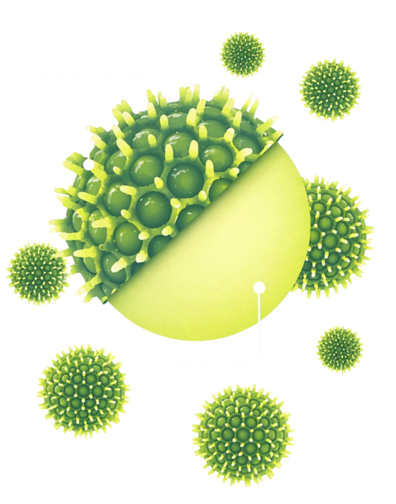 citoplazma cvjetnog peluda ekstrakt cvjetnog peluda